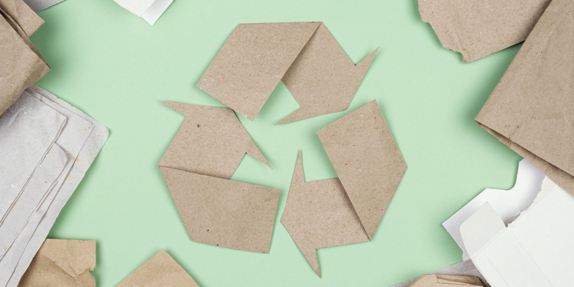 Envases ecológicos alimentos